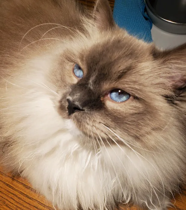 Jasper Pet Clinic Picture 1