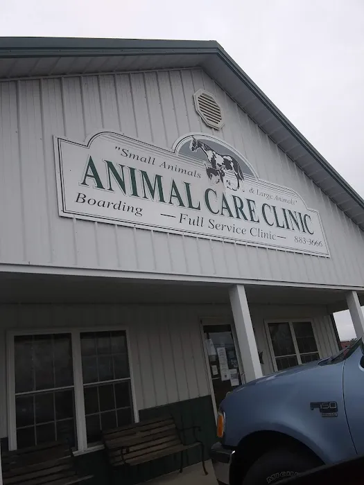 Moore's Animal Care Clinic Picture 4