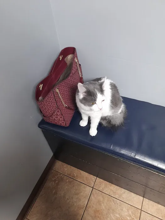St. Clair Veterinary Clinic Picture 4