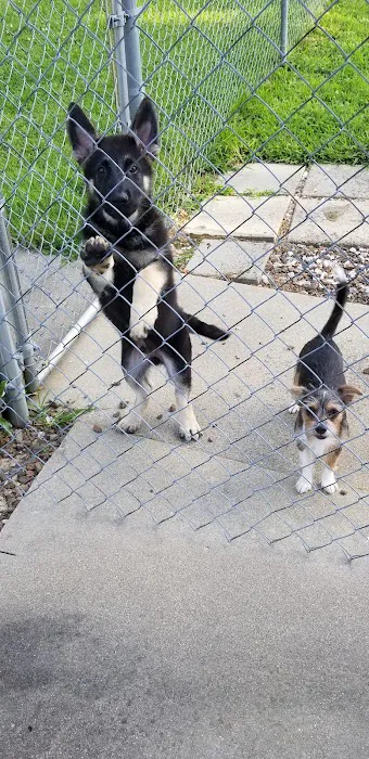 St. Clair Veterinary Clinic Picture 6