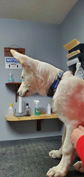 St. Clair Veterinary Clinic Picture 5