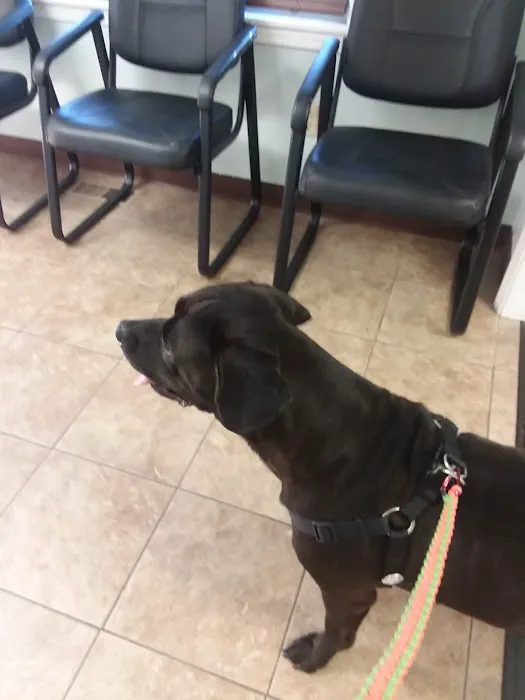 St. Clair Veterinary Clinic Picture 9