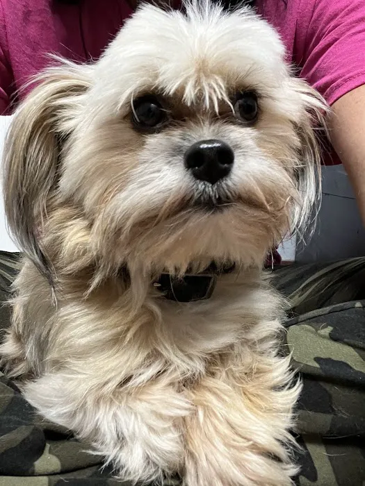 St. Clair Veterinary Clinic Picture 8