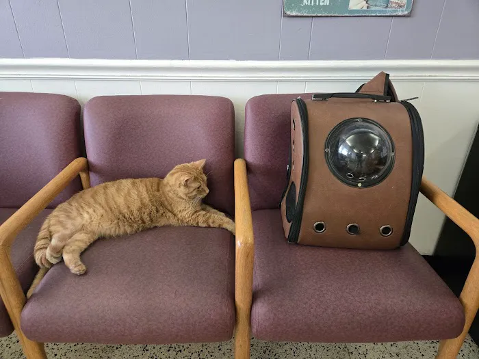 Pets Doc Veterinary Clinic Picture 10
