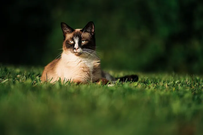 Waltz Animal Clinic Picture 5
