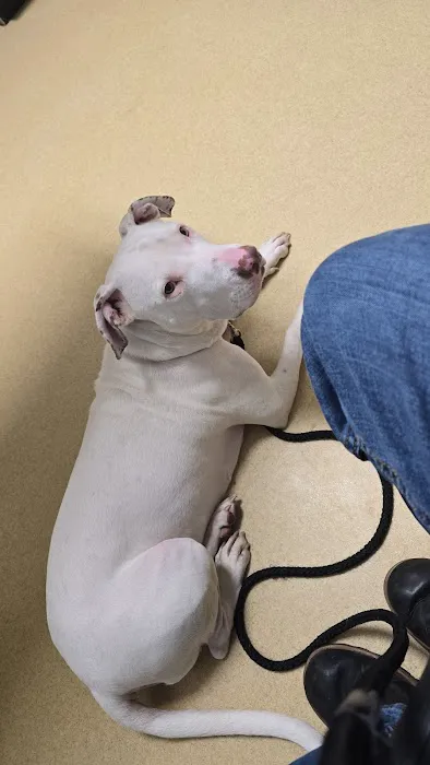 Waltz Animal Clinic Picture 10