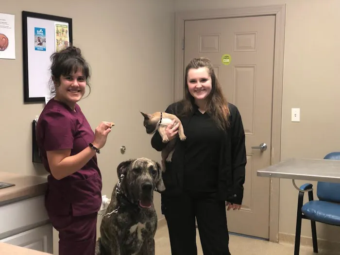Farm & Family Veterinary Service Picture 1