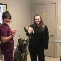 Farm & Family Veterinary Service ico