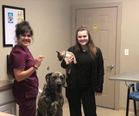 Farm & Family Veterinary Service