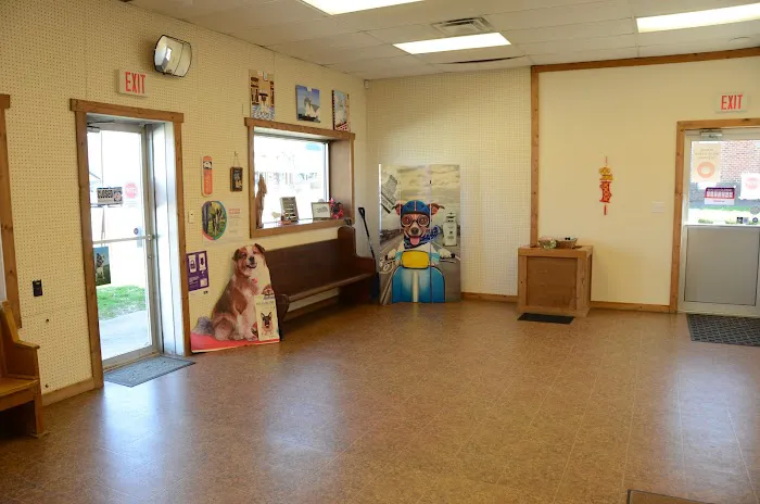 Albright Veterinary Services Picture 5