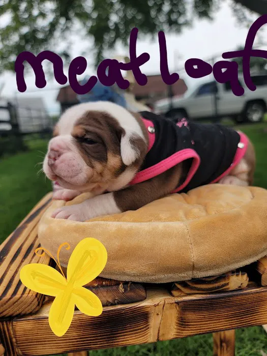 Heartland Veterinary Services Picture 4
