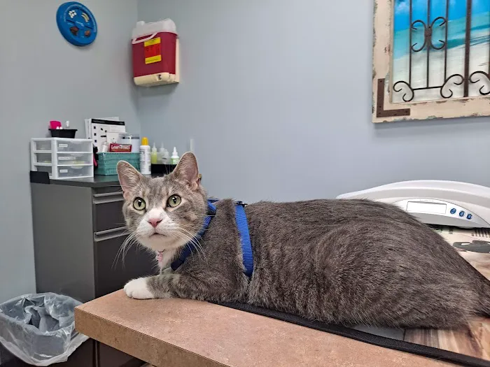 Oak Grove Veterinary Clinic Picture 3