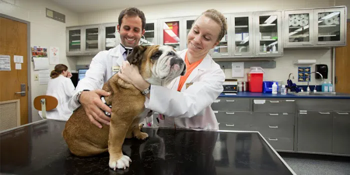 Purdue University Small Animal Hospital Picture 1