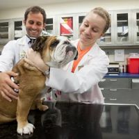 Purdue University Small Animal Hospital ico