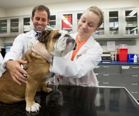 Purdue University Small Animal Hospital