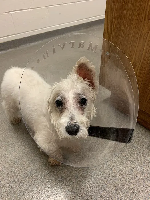 Purdue University Small Animal Hospital Picture 2