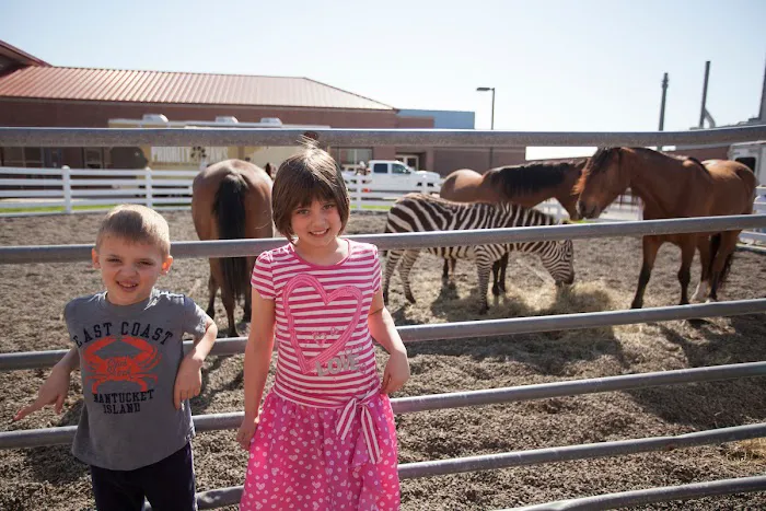 Purdue University Equine Hospital Picture 5