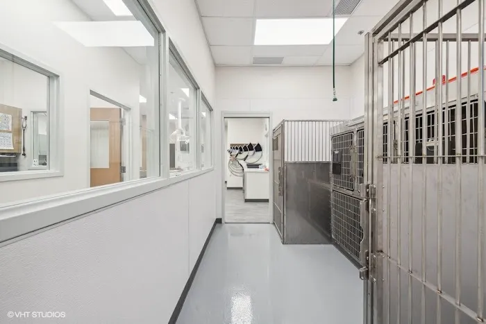 West Lafayette Veterinary Care Picture 5