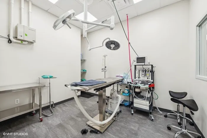 West Lafayette Veterinary Care Picture 6