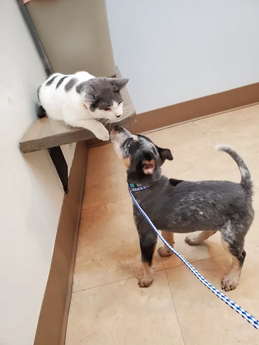 Creekside Animal Hospital Picture 1