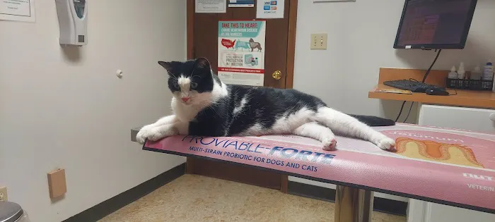 Creekside Animal Hospital Picture 5