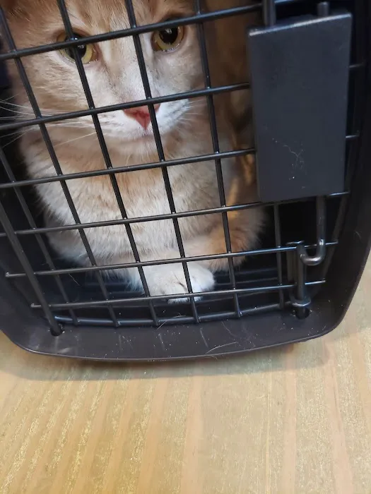 Creekside Animal Hospital Picture 10