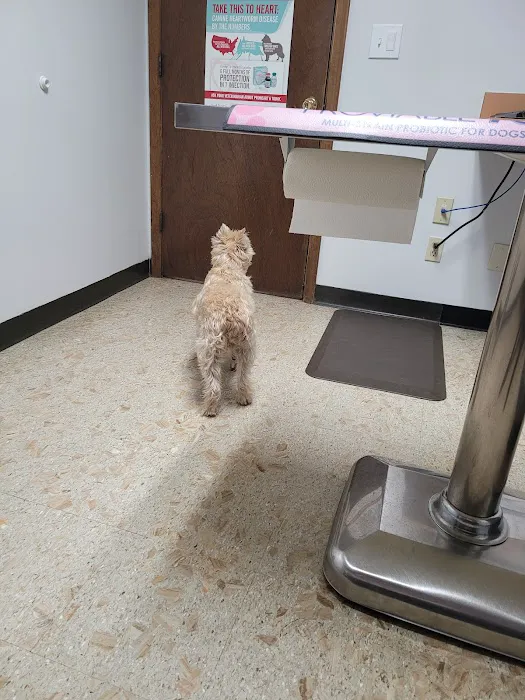 Creekside Animal Hospital Picture 9