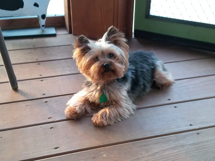 Creekside Animal Hospital Picture 8