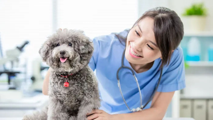Pets and Vets as Partners Picture 3