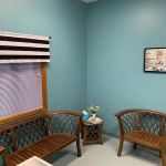 Pets and Vets as Partners