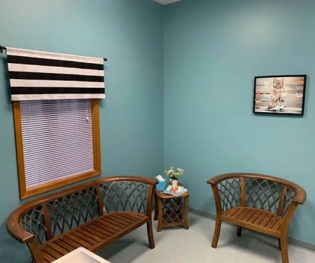 Pets and Vets as Partners