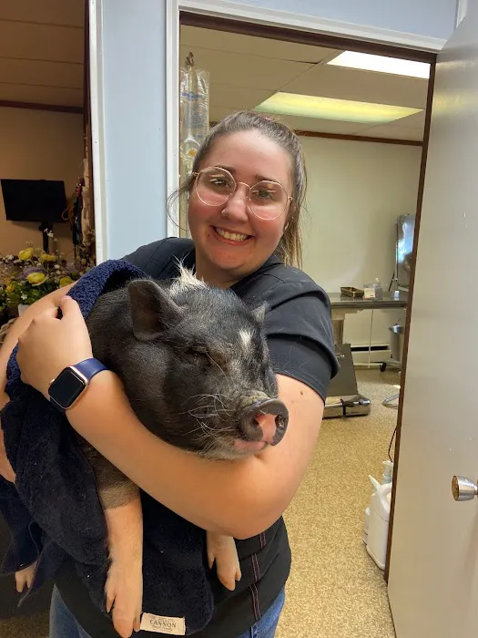 Twin Lakes Pet Clinic Picture 3