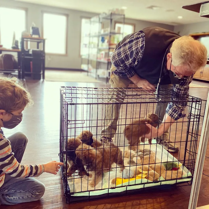 Monticello Animal Hospital Picture 6
