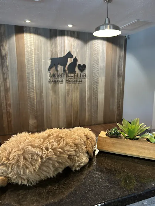 Monticello Animal Hospital Picture 9