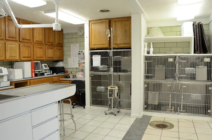 Twelve Mile Veterinary Clinic Picture 3