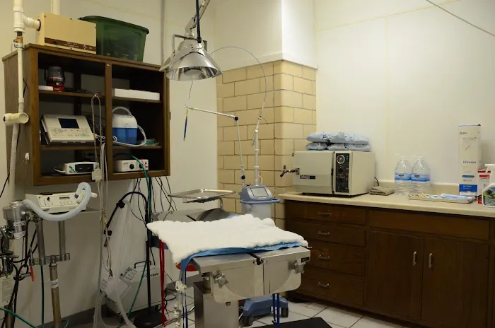 Twelve Mile Veterinary Clinic Picture 4