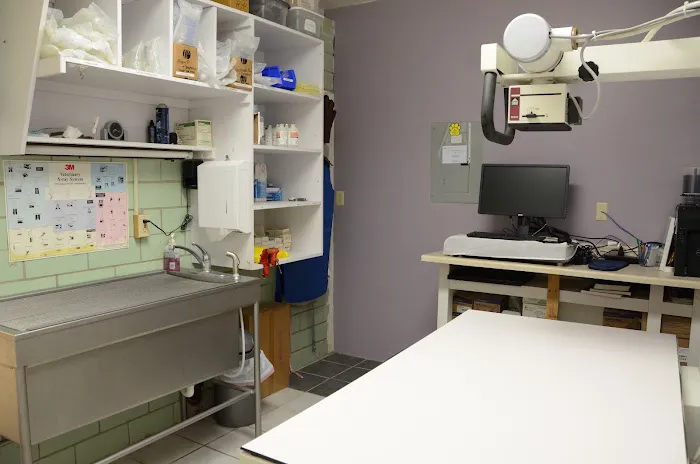 Twelve Mile Veterinary Clinic Picture 7