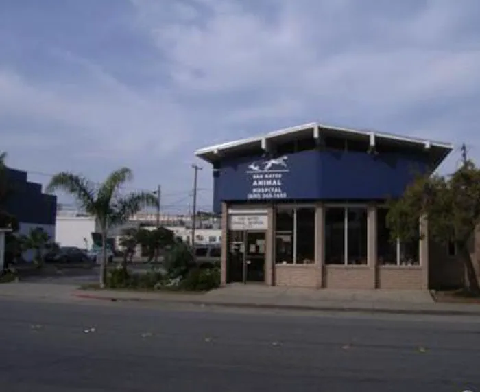 VCA San Mateo Animal Hospital Picture 2