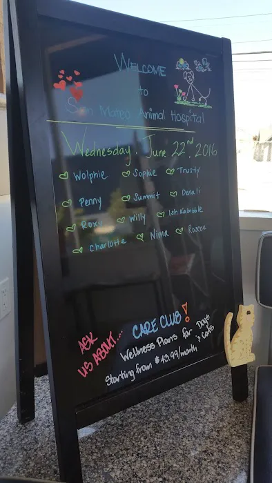 VCA San Mateo Animal Hospital Picture 5