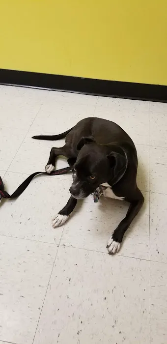 Banfield Pet Hospital Picture 2
