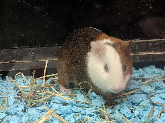 Banfield Pet Hospital Picture 4
