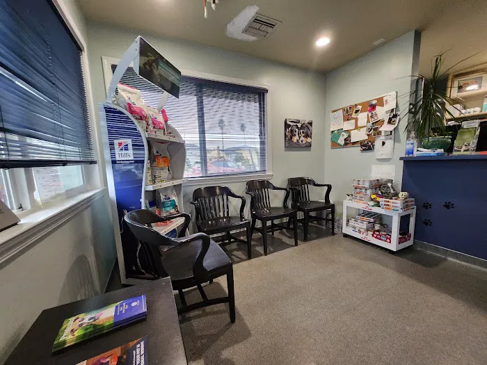 Animal Cove Pet Hospital Picture 4