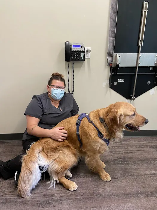 Indy’s Place Pet Hospital Picture 2