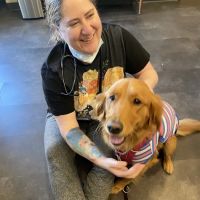 Indy’s Place Pet Hospital ico