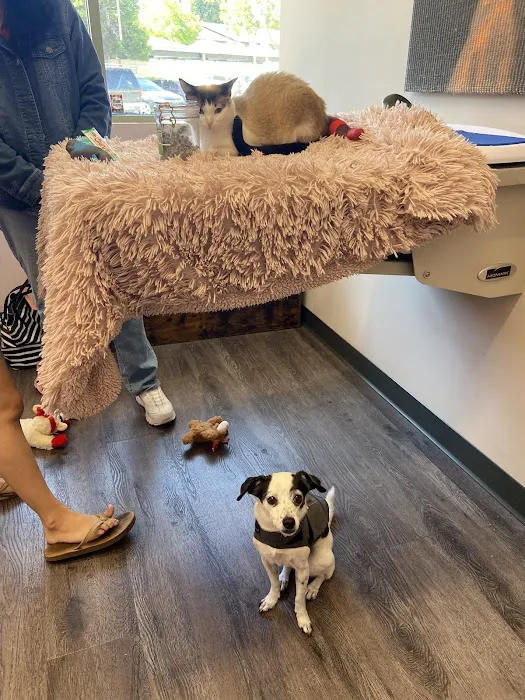 Indy’s Place Pet Hospital Picture 6
