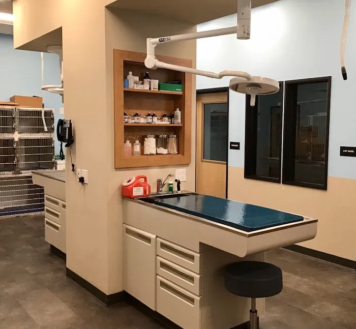 Indy’s Place Pet Hospital Picture 9
