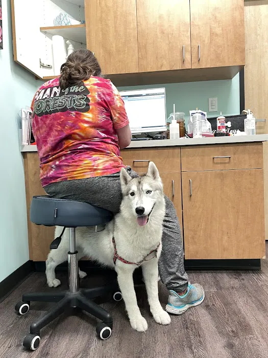 Indy’s Place Pet Hospital Picture 10