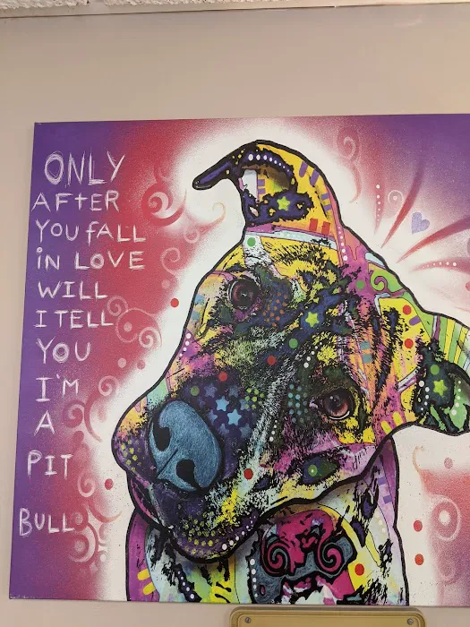 Chicago Heights Animal Hospital Picture 2