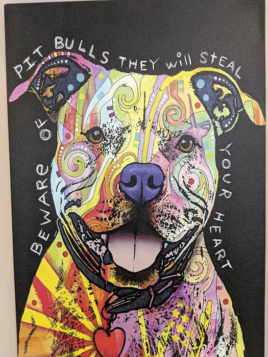Chicago Heights Animal Hospital Picture 1
