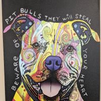 Chicago Heights Animal Hospital ico